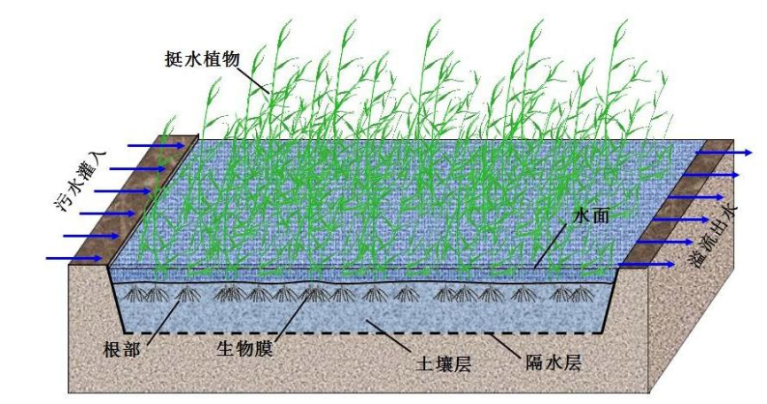 表流濕地污水處理技術(shù)